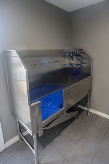 Timbercreek Apartments, Austin, TX,78704
